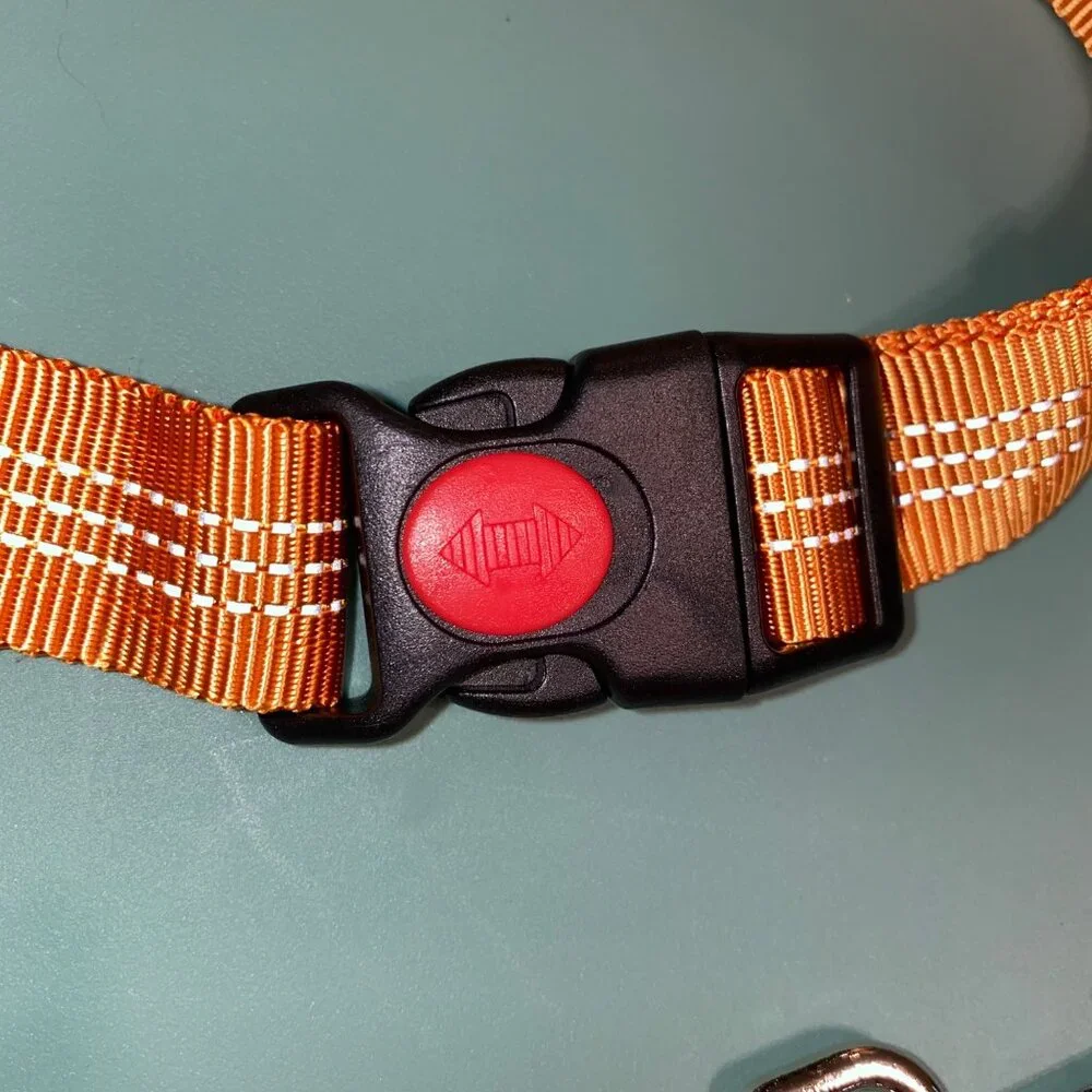 Set of 2 Adjustable Dog Seat Belt Harness Leash With Safety Buckle and Clip
